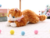 Pelucia gatinho deitado 23cm - bbr - comprar online