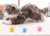 Pelucia gatinho deitado 23cm - bbr - loja online