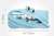 Estojo Zipit Gorge Monster Azul - Maped - comprar online
