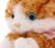 Pelucia gatinho deitado 23cm - bbr - comprar online