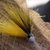 Isca Artificial Pitoco Bolinha Jig 2/0 6gr - Susuto Equipamentos Para Pesca Esportiva | Equipamentos Para Pesca, Camping, Vestuário