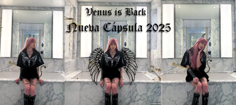 Carrusel VENUS