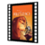 Quadro Relevo Moldura Cinema O Rei Leão Simba Timão Filme Decoração