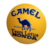 Quadro Relevo Camel Honda Lotus Decoração Presente Automobilismo Corrida