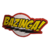 Quadro Relevo Bazinga Série Humor Decoração Presente the big bang theory