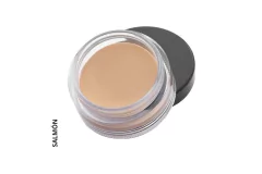 Perfect Finish Concealer Corrector