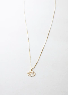 CONJUNTO BELLI - comprar online