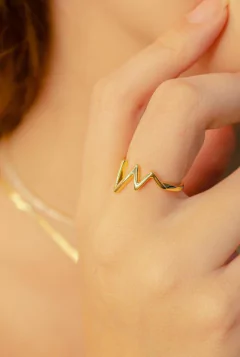 ANEL RAQUEL - comprar online