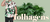 Carrusel Molotov Camisaria - camisas estampadas do PP ao 5XGG