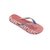 OJOTA HAVAIANAS TOP LOGOMANIA HIGHTECH - comprar online