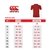POLO PIQUE CANTERBURY GRIS - comprar online