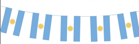 Guirnalda Banner Bandera Argentina Patrio Celeste Y Blanco