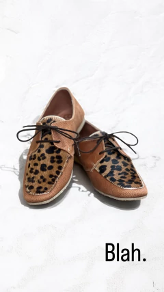 Art 650 Siena pelo en internet