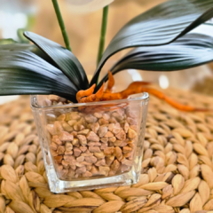 ORQUIDEA CON MACETA DE VIDRIO - comprar online
