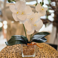 ORQUIDEA CON MACETA DE VIDRIO