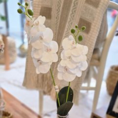 VARA DE ORQUIDEA - comprar online