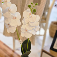 VARA DE ORQUIDEA
