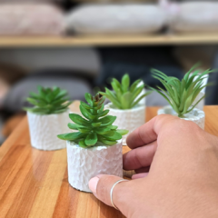 SUCULENTA MINI BLANCA - comprar online