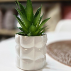 SUCULENTA MACETA RELIEVE