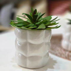 SUCULENTA MACETA RELIEVE - tienda online