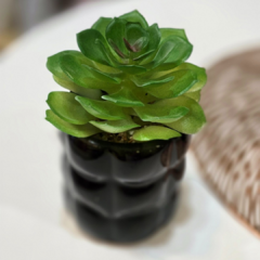 SUCULENTA MACETA RELIEVE - comprar online