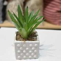 SUCULENTA MACETA CON PUNTOS - Enamorart