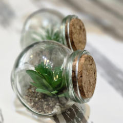 SUCULENTA FRASCO DE VIDRIO - comprar online