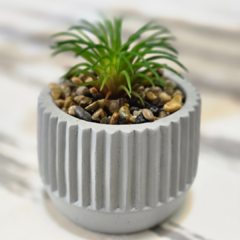 SUCULENTA CELESTE RAYAS - comprar online