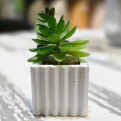 SUCULENTA CEMENTO CUADRADA RAYAS - tienda online