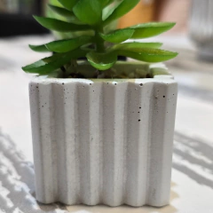 SUCULENTA CEMENTO CUADRADA RAYAS - Enamorart