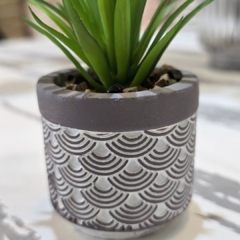 SUCULENTA GRIS CON BLANCO - Enamorart