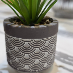 SUCULENTA GRIS CON BLANCO