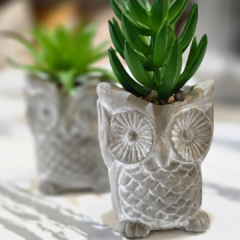 SUCULENTA BUHO CEMENTO - comprar online