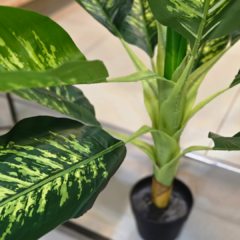PLANTA ARTIFICIAL FICUS - Enamorart