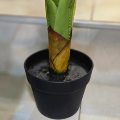 PLANTA ARTIFICIAL FICUS - tienda online