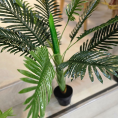 PLANTA PALMERA HOJAS GRANDE - comprar online