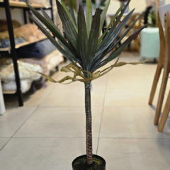 PLANTA 80cm - tienda online