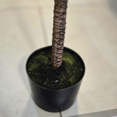 PLANTA 80cm
