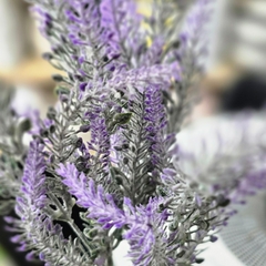 RAMO DE LAVANDA en internet