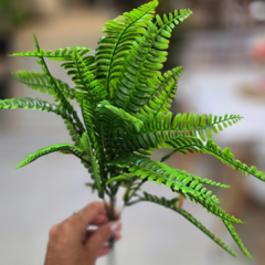 MATA DE HELECHOS 42CM