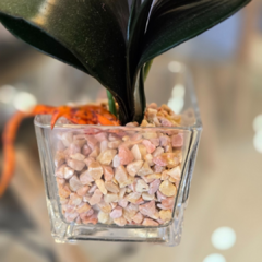 MACETA VIDRIO CON ORQUIDEAS - comprar online