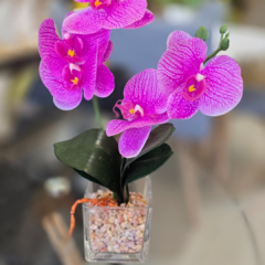 MACETA VIDRIO CON ORQUIDEAS