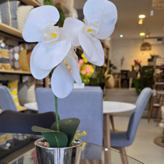 MACETA CON ORQUIDEA