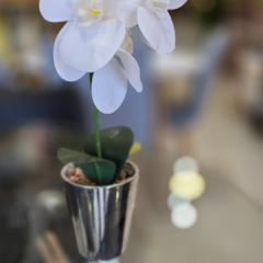 MACETA CON ORQUIDEA - comprar online