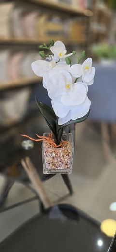Imagen de MACETA VIDRIO CON ORQUIDEAS