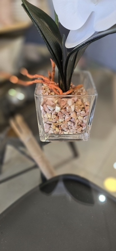 MACETA VIDRIO CON ORQUIDEAS