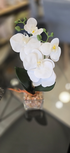 MACETA VIDRIO CON ORQUIDEAS - comprar online