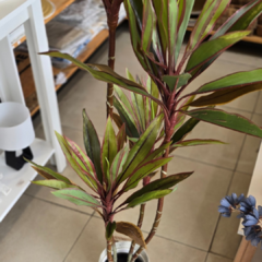 PLANTA DE 1.40 - Enamorart