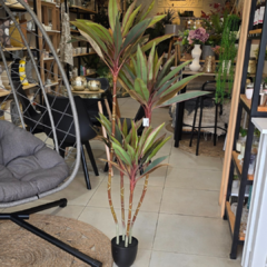 PLANTA DE 1.40 - comprar online