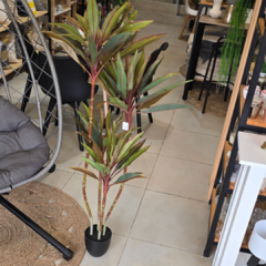 PLANTA DE 1.40
